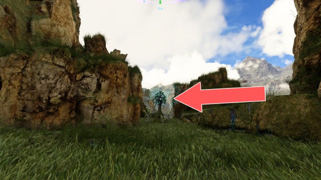 Bellsprig (The Stone Hold)