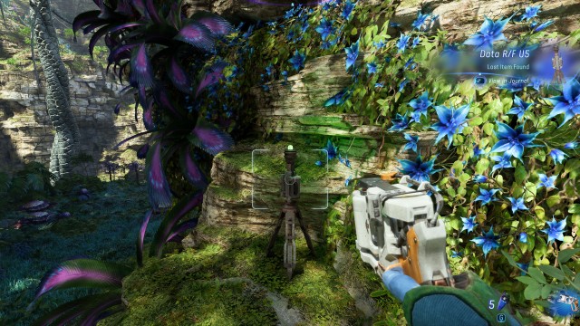 Data Collector (Silk Woods)