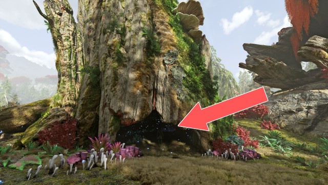 Tarsyu Sapling (Stone Cloud Valley)