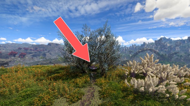 Tarsyu Sapling (Step's Cradle)