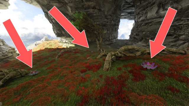 Tarsyu Sapling (The Stone Hold)