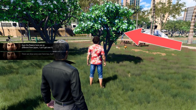 23. The More, the Plumeria (A)