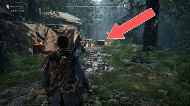 The Dark Woods Chest