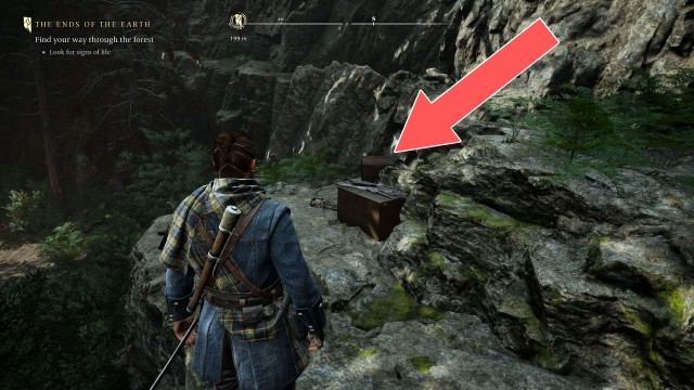 The Dark Woods Chest