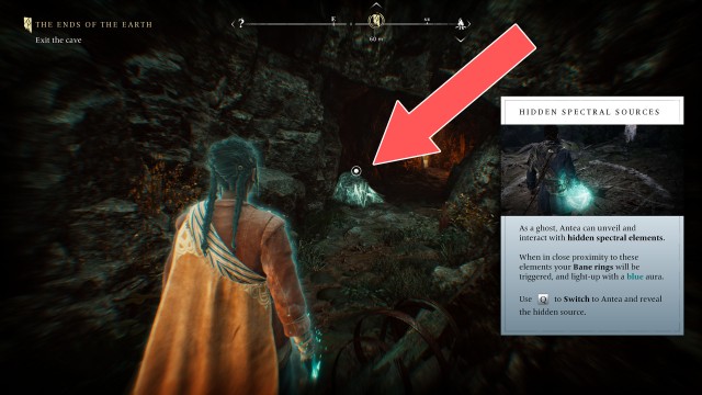 The Dark Woods Chest (Hidden)