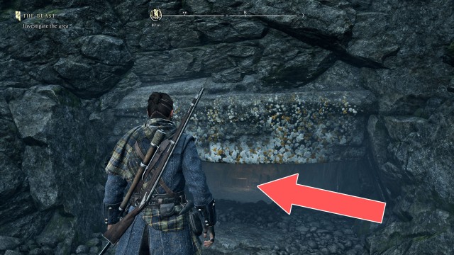 The Dark Woods Chest