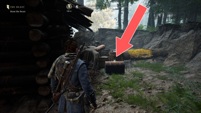 The Dark Woods Chest