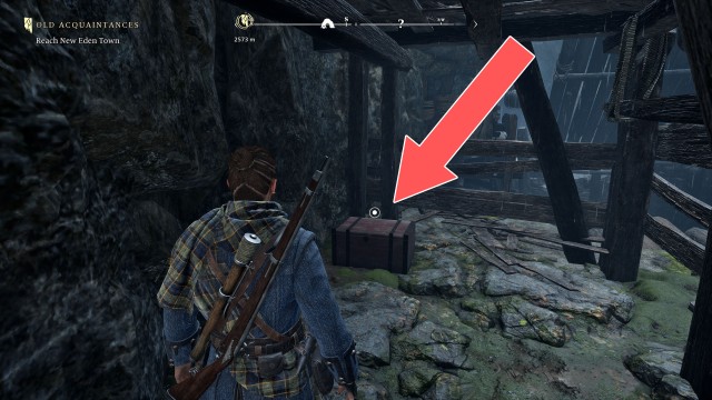 The Dark Woods Chest