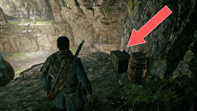 The Dark Woods Chest