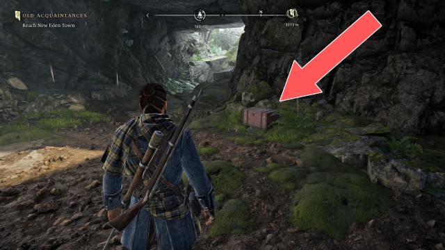 The Dark Woods Chest