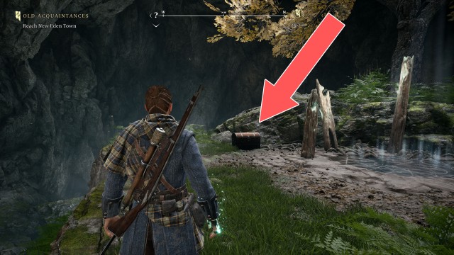 The Dark Woods Chest