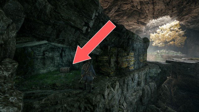 The Dark Woods Chest