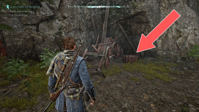 The Dark Woods Chest
