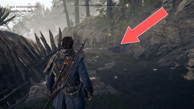 The Mire Marshes Chest