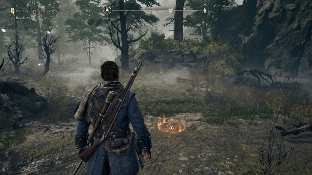 The Mire Marshes Nest (1/2)