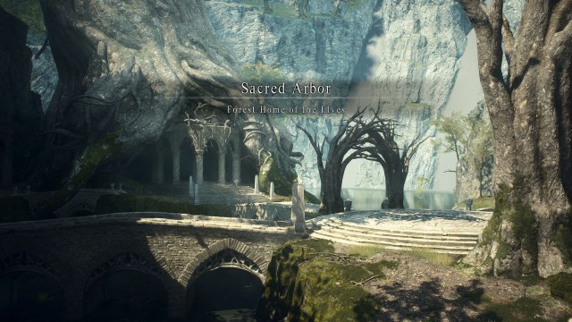 Sacred Arbor