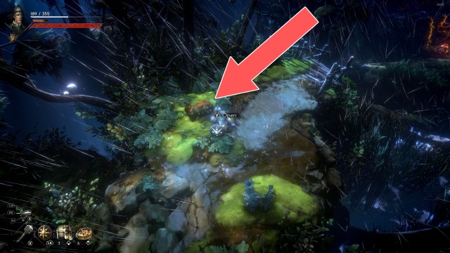 Chest (Orban Glades)