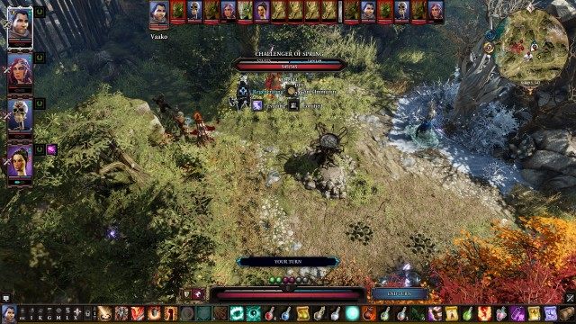 Completed Elf Test