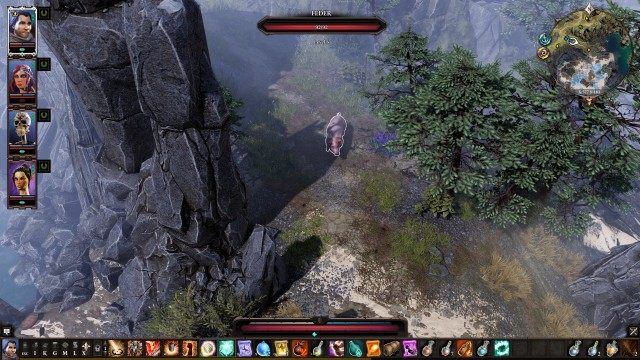 Met Blessed Pig