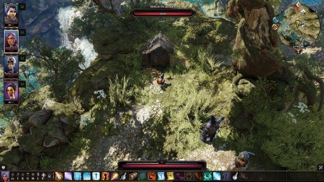 Magicockerel