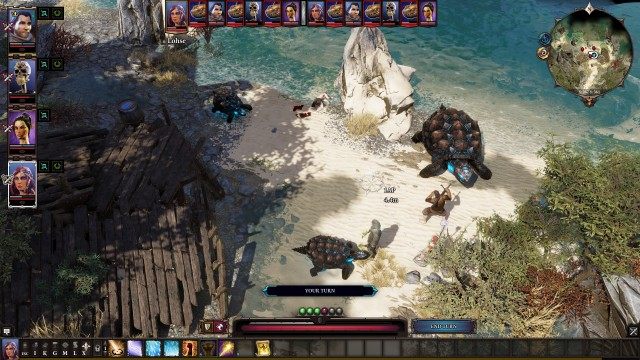 Turtles (lvl 2)
