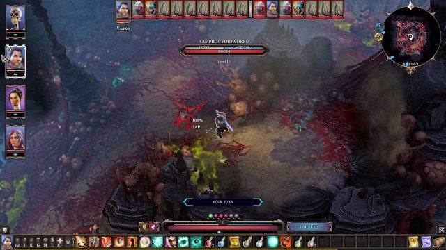 Storm-Wing Voidwoken (lvl 11)