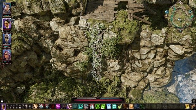 Vines