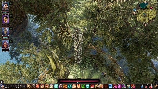Vines