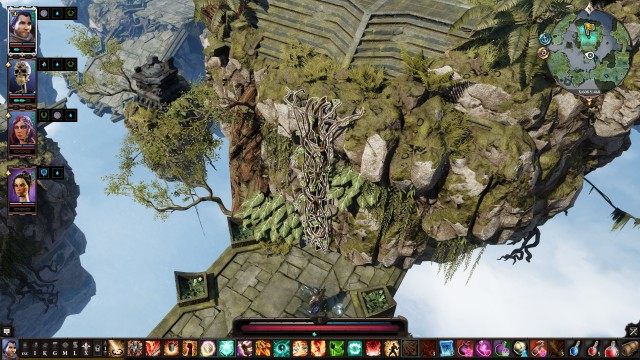 Vines