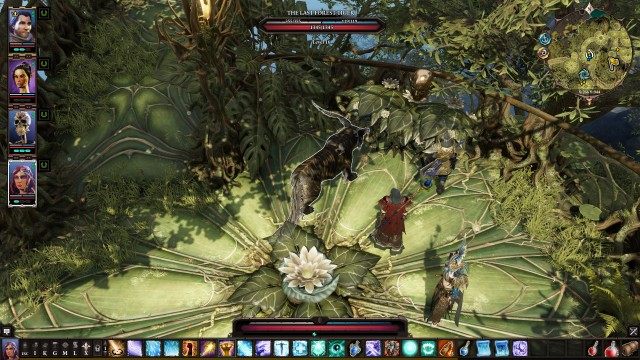 The Last Forest Tiger