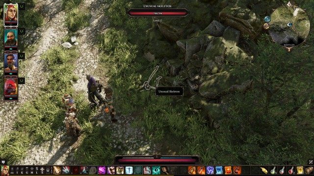 Unusual Skeleton