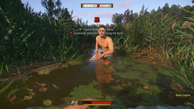 Crouch down in the reeds.