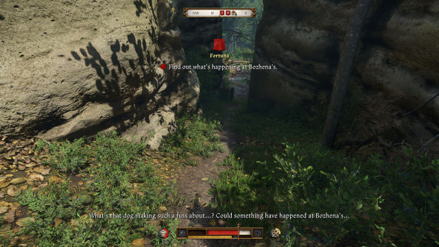 Fetch herbs for Bozhena.