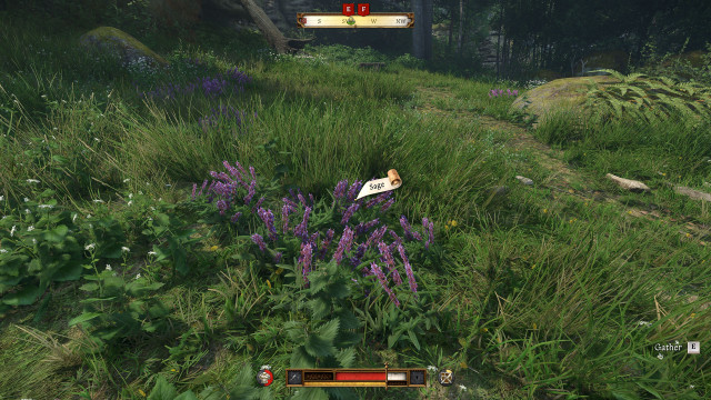 Pick sage.