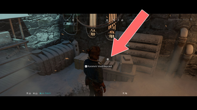 Kuroma's Vault Keycard