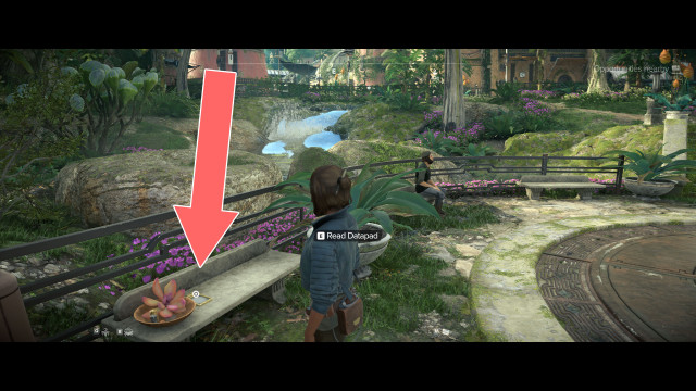 What is your future?