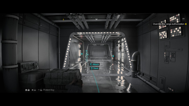 Override the cargo authorization.