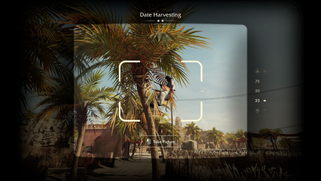 Date Harvesting