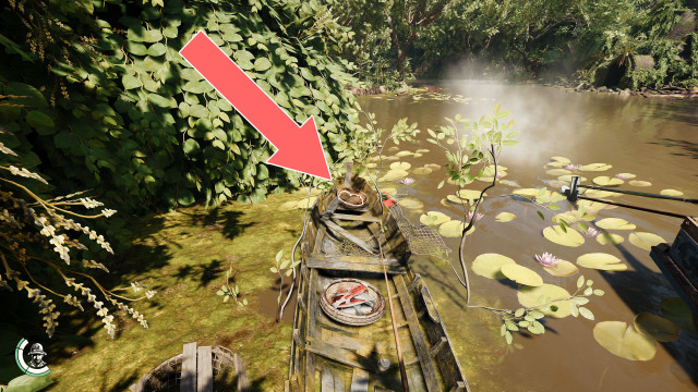 Durian Fruit x 2, Mangosteen