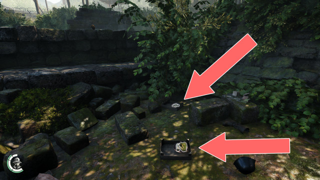 Banana x 3, Star Fruit