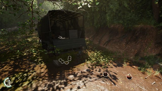 Durian Fruit x 3, Mangosteen x 8, Star Fruit x 3