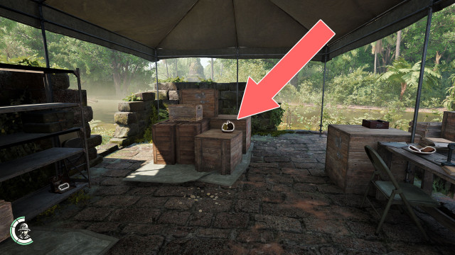 Durian Fruit, Rambutan, Star Fruit