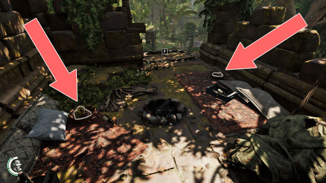 Mangosteen x 2, Star Fruit x 2