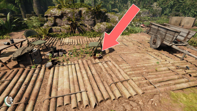 Mangosteen, Star Fruit