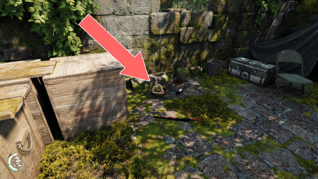 Mangosteen, Star Fruit x 2