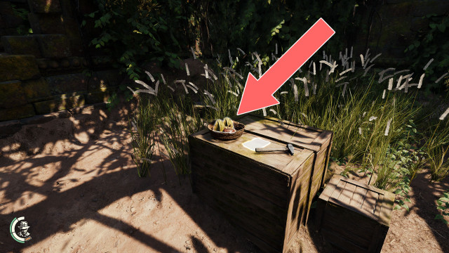 Mangosteen, Star Fruit x 2