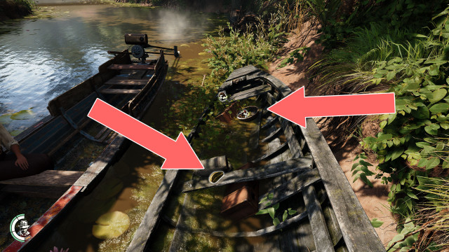 Mangosteen x 2, Star Fruit