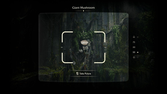 Giant Mushroom