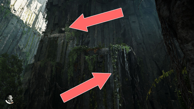 Vine & Grappling Point
