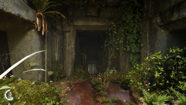 Hidden Temple Entrance